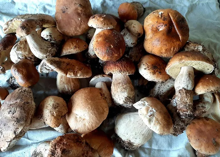 La Marletta